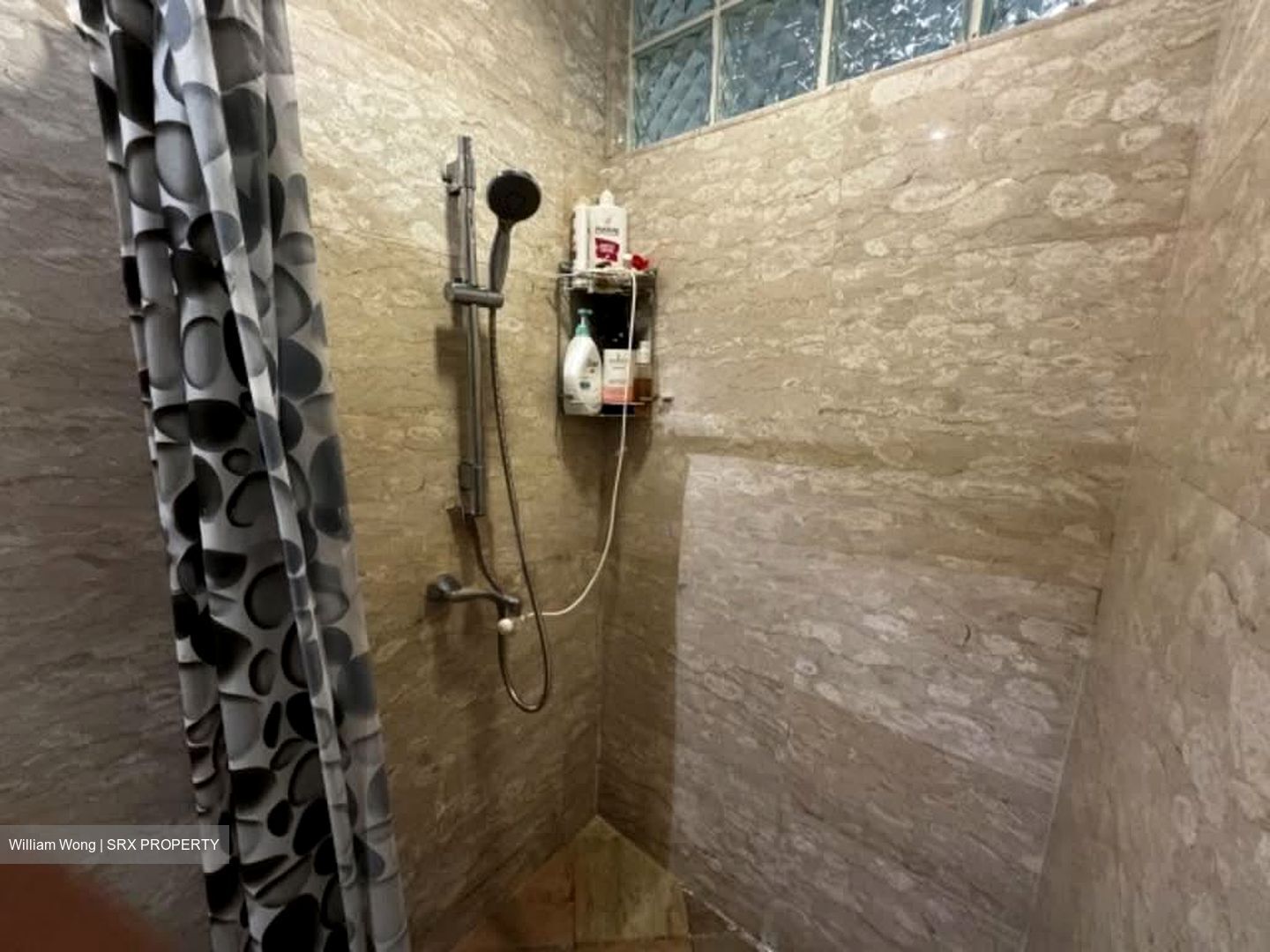 Pasir Panjang Road (D5), Condominium #547858831